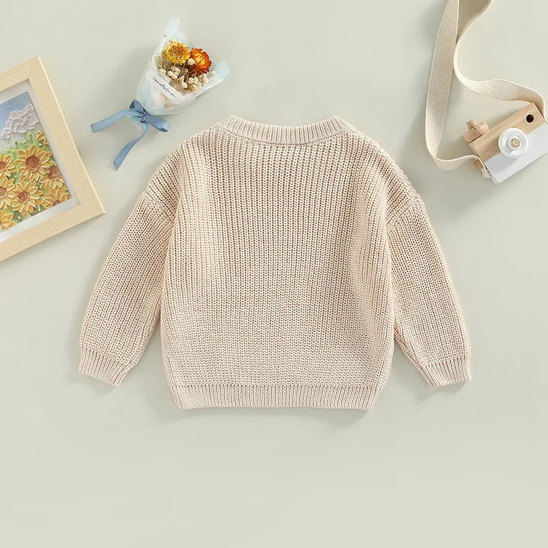 Autumn New Baby Boys Girls Clothes Baby Sweater Toddler Knit Sweater Newborn Knitwear Long Sleeve Cotton Baby Pullover Tops