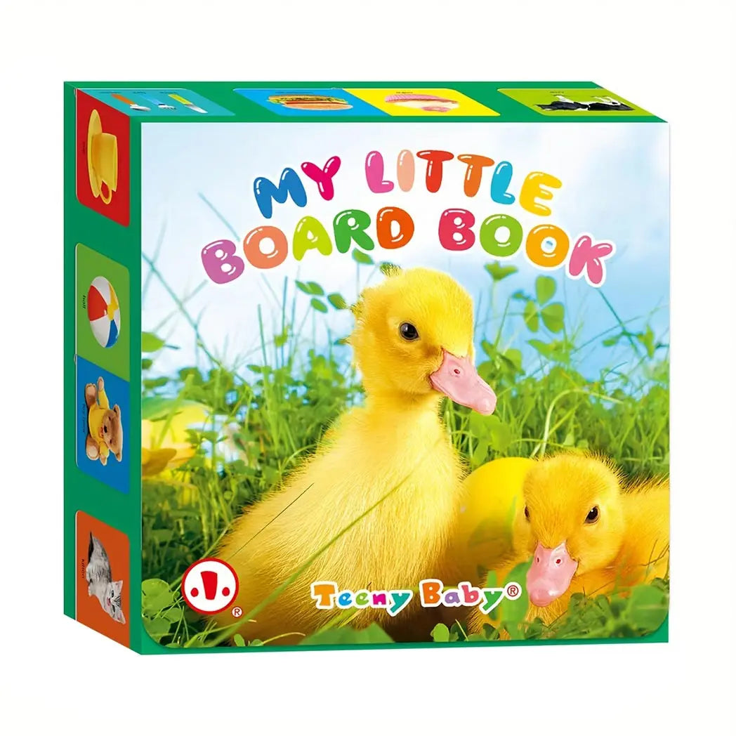Baby Colorful Pattern Card Books - Interactive Sensory Development Toys for Early Reading