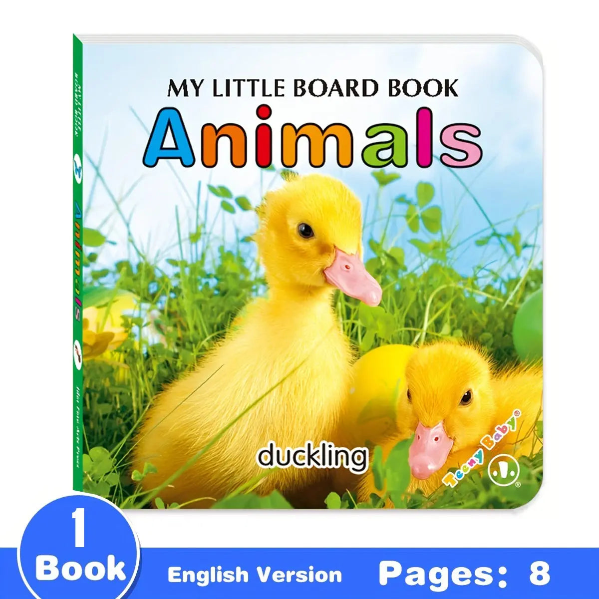 Baby Colorful Pattern Card Books - Interactive Sensory Toys for Newborn Development