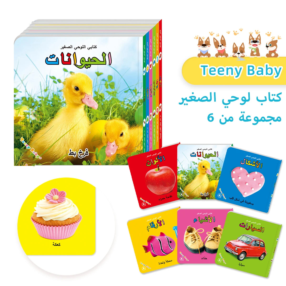 Baby Colorful Pattern Card Books - Interactive Sensory Toys for Newborn Development
