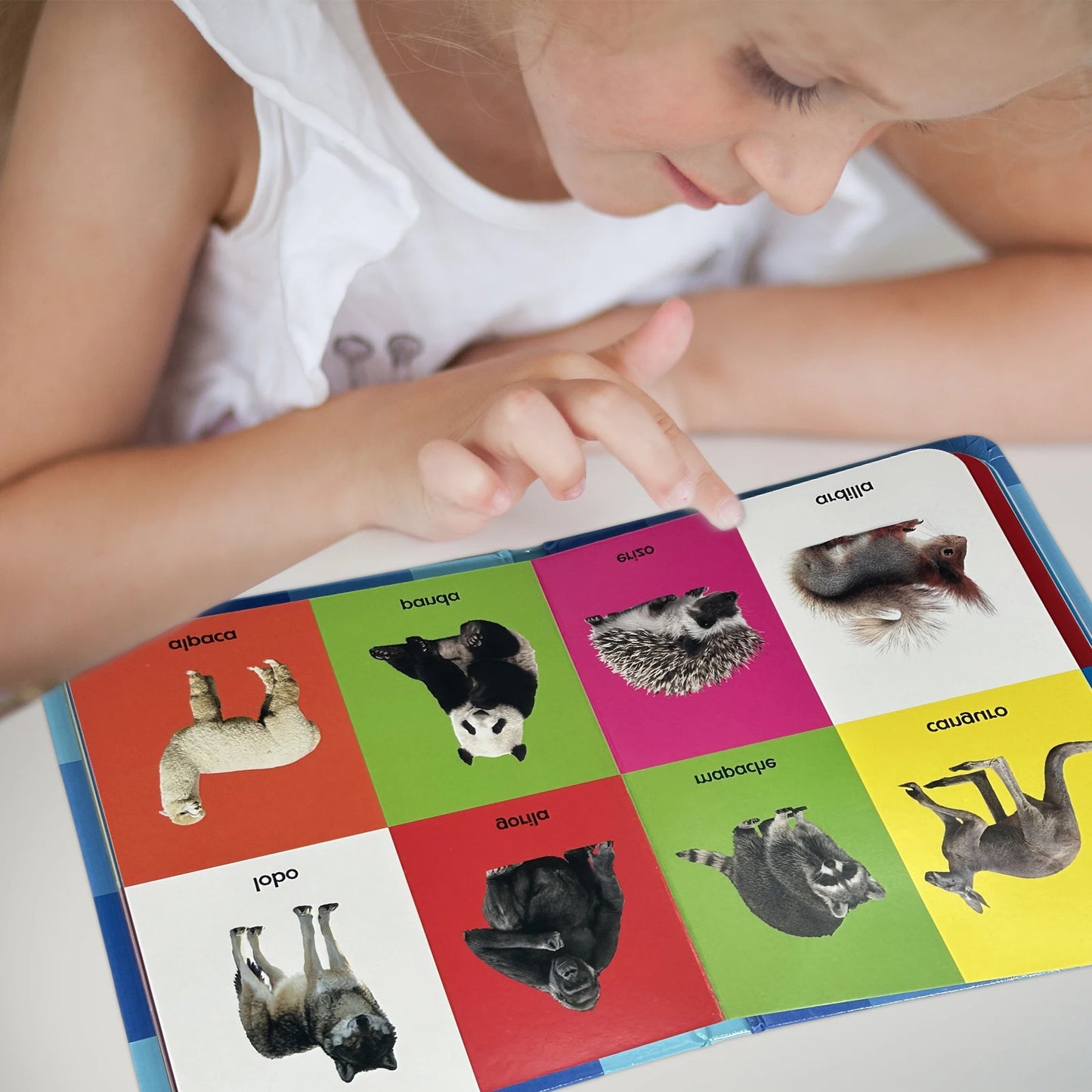 Spanish Children's Cognitive Encyclopedia - Early Learning Books for Kids 0-2 Years