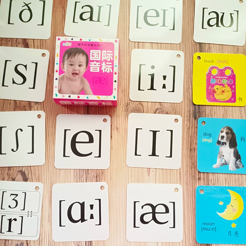 English Letter Word Cards - 26 Alphabet Learning Cards for Early Education