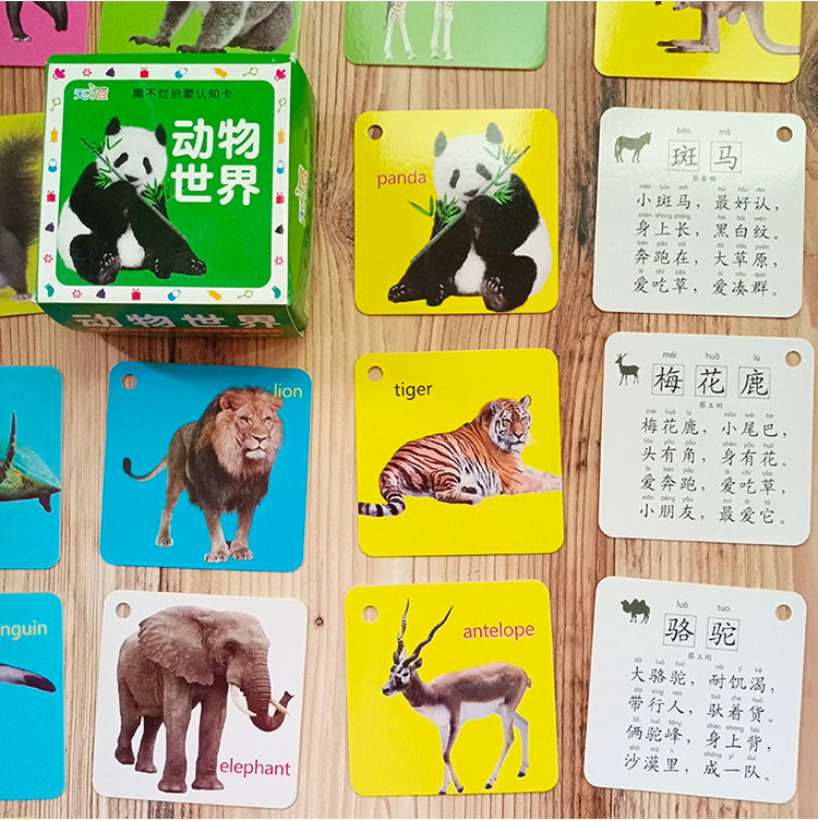 English Letter Word Cards - 26 Alphabet Learning Cards for Early Education