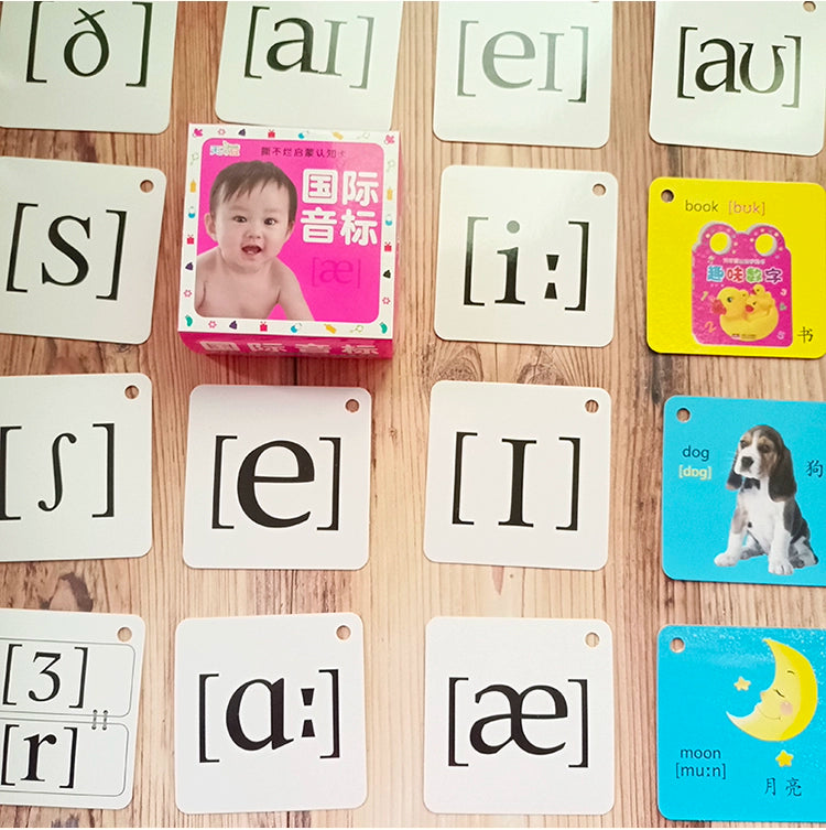 English Letter Word Cards - 26 Alphabet Learning Cards for Early Education