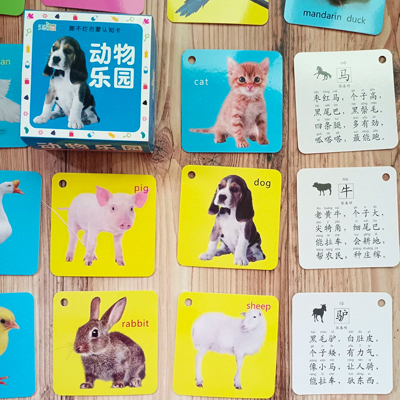 English Letter Word Cards - 26 Alphabet Learning Cards for Early Education
