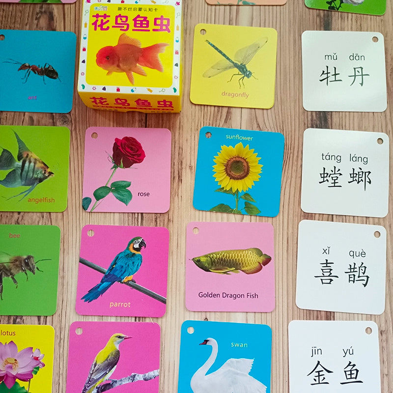 English Letter Word Cards - 26 Alphabet Learning Cards for Early Education