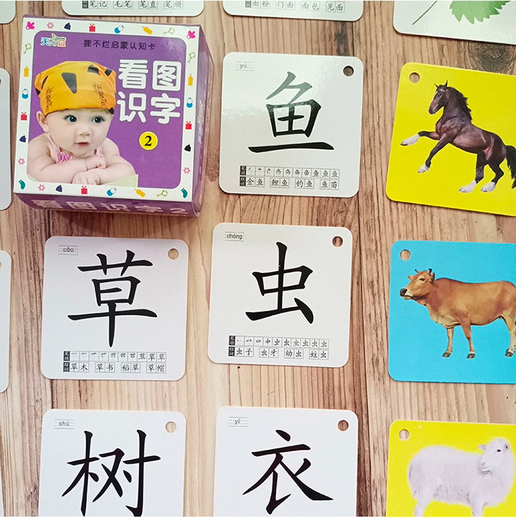 English Letter Word Cards - 26 Alphabet Learning Cards for Early Education