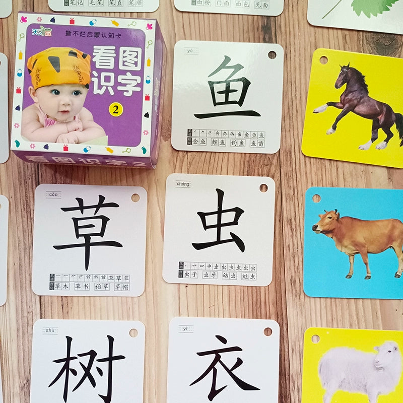 English Letter Word Cards - 26 Alphabet Learning Cards for Early Education