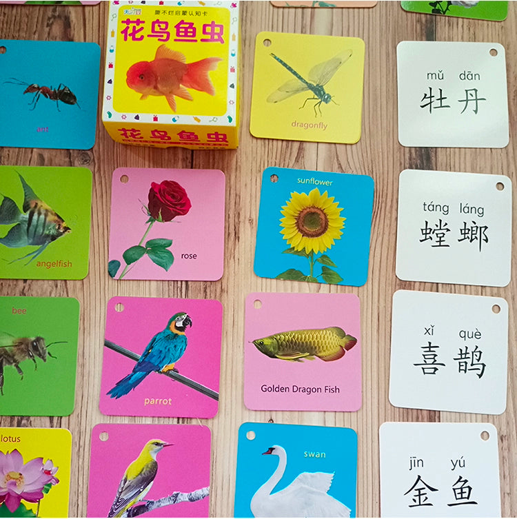English Letter Word Cards - 26 Alphabet Learning Cards for Early Education