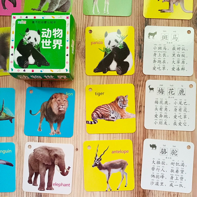 English Letter Word Cards - 26 Alphabet Learning Cards for Early Education