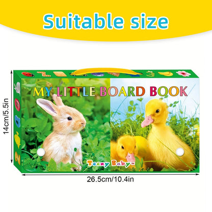 Baby Colorful Pattern Card Books - Interactive Sensory Development Toys for Early Reading