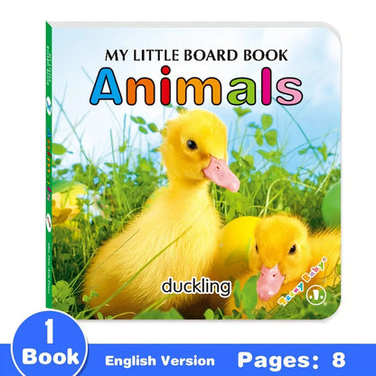 Baby Colorful Pattern Card Books - Interactive Sensory Development Toys for Early Reading