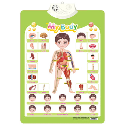 Interactive Alphabet Wall Chart – Talking ABC Learning Poster